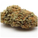 Шишки AK47 (Гидропоника, Бошка) VHQ в Нальчике Шишки AK47 (Гидропоника, Бошка) VHQ в Нальчике