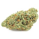 Шишки OG Kush (Гидропоника, бошки) VHQ в Нальчике Шишки OG Kush (Гидропоника, бошки) VHQ в Нальчике